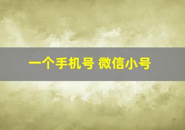 一个手机号 微信小号